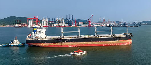 Freight forwarding professional terminology