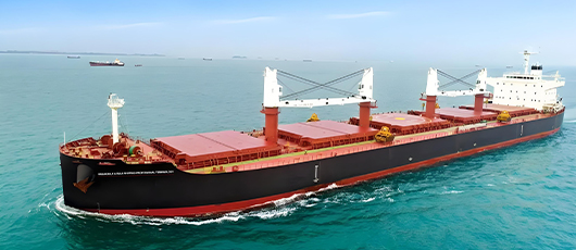 Breakbulk & Bulk shipping professional terminology